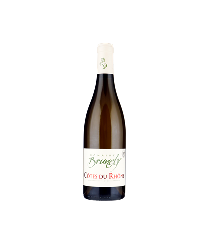 Fles Domaine Brunely Côtes du Rhône Blanc, wijn op voorraad bij slijterij t Bockje in Bathmen