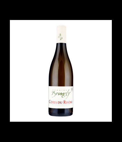 Fles Domaine Brunely Côtes du Rhône Blanc, wijn op voorraad bij slijterij t Bockje in Bathmen