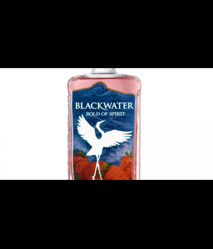 Fles Blackwater Bold of Spirit Strawberry, gin, op voorraad bij slijterij t Bockje in Bathmen